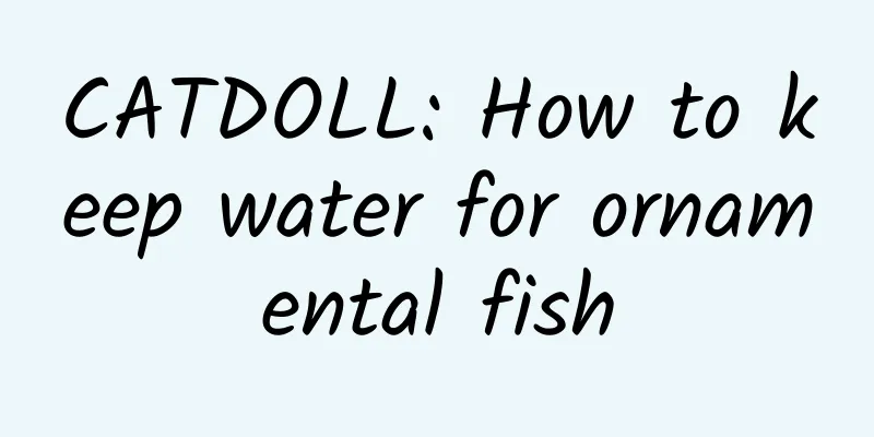 CATDOLL: How to keep water for ornamental fish