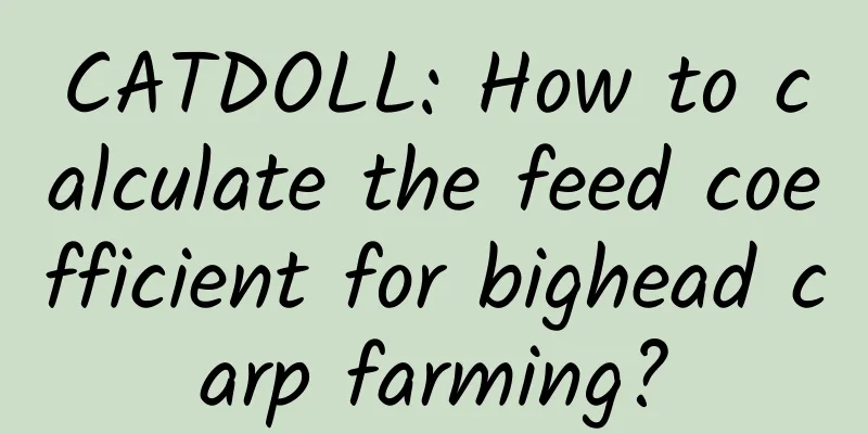 CATDOLL: How to calculate the feed coefficient for bighead carp farming?