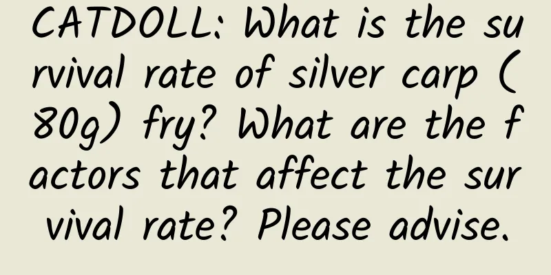 CATDOLL: What is the survival rate of silver carp (80g) fry? What are the factors that affect the survival rate? Please advise.