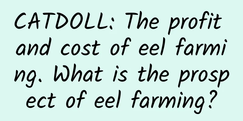 CATDOLL: The profit and cost of eel farming. What is the prospect of eel farming?