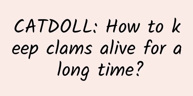 CATDOLL: How to keep clams alive for a long time?