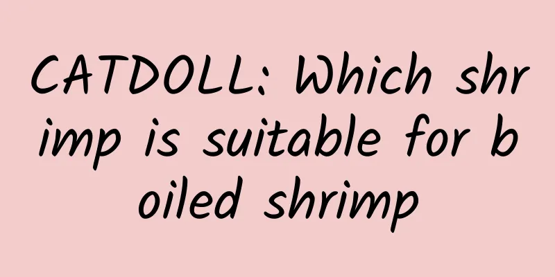 CATDOLL: Which shrimp is suitable for boiled shrimp