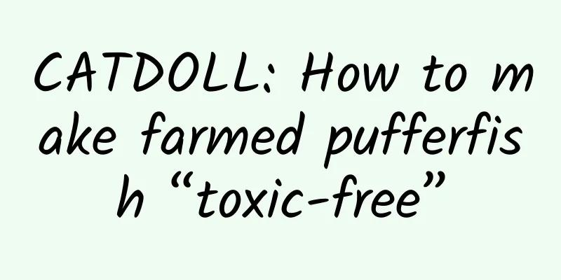 CATDOLL: How to make farmed pufferfish “toxic-free”
