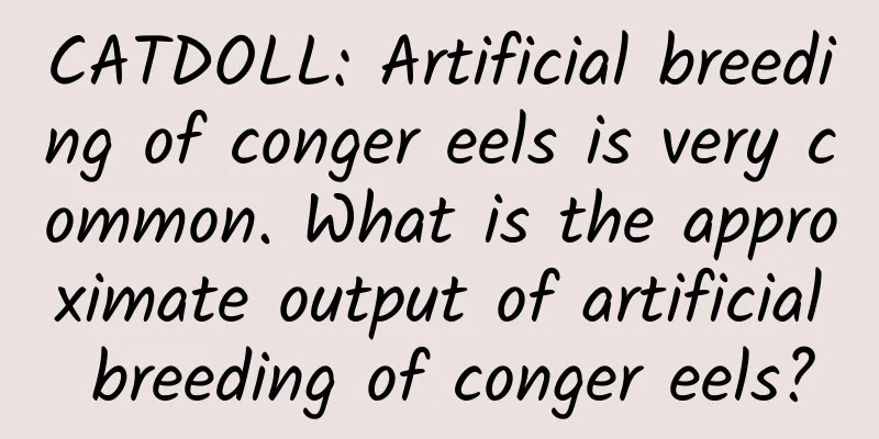 CATDOLL: Artificial breeding of conger eels is very common. What is the approximate output of artificial breeding of conger eels?