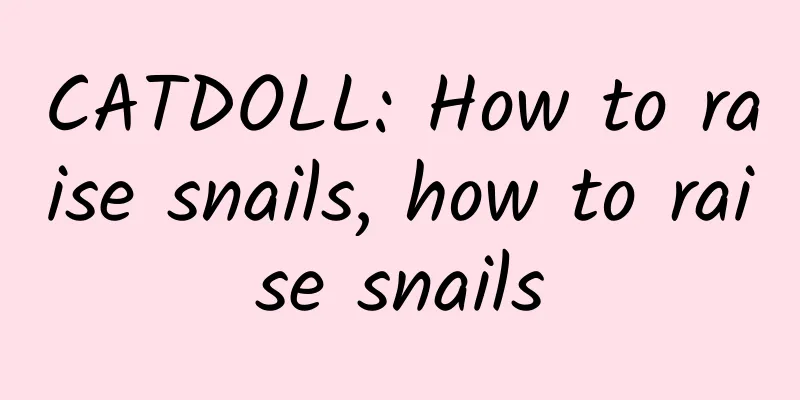 CATDOLL: How to raise snails, how to raise snails