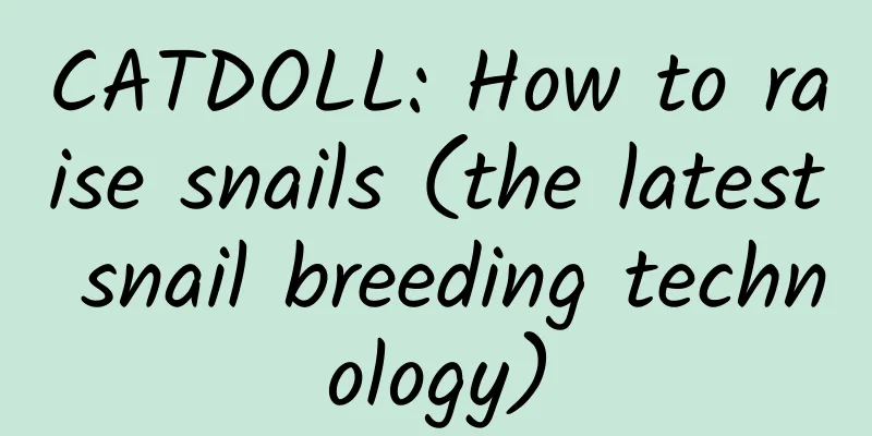 CATDOLL: How to raise snails (the latest snail breeding technology)