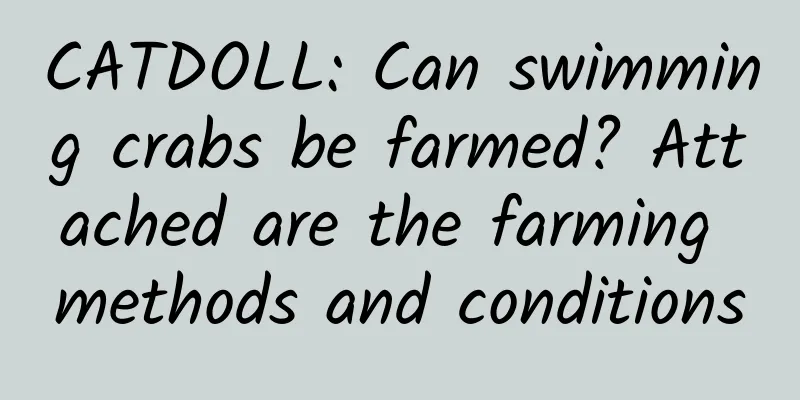 CATDOLL: Can swimming crabs be farmed? Attached are the farming methods and conditions