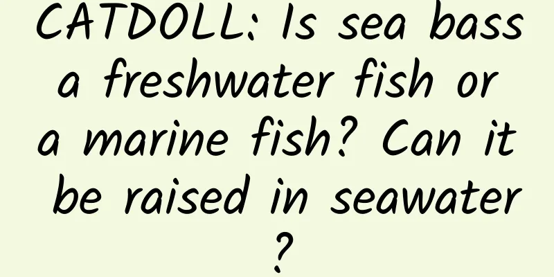 CATDOLL: Is sea bass a freshwater fish or a marine fish? Can it be raised in seawater?