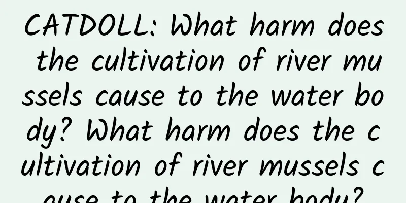 CATDOLL: What harm does the cultivation of river mussels cause to the water body? What harm does the cultivation of river mussels cause to the water body?