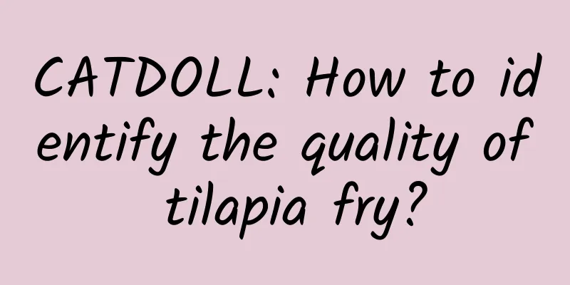 CATDOLL: How to identify the quality of tilapia fry?