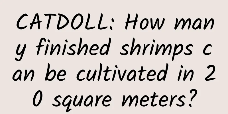 CATDOLL: How many finished shrimps can be cultivated in 20 square meters?