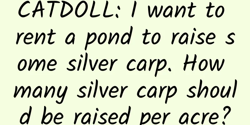CATDOLL: I want to rent a pond to raise some silver carp. How many silver carp should be raised per acre?