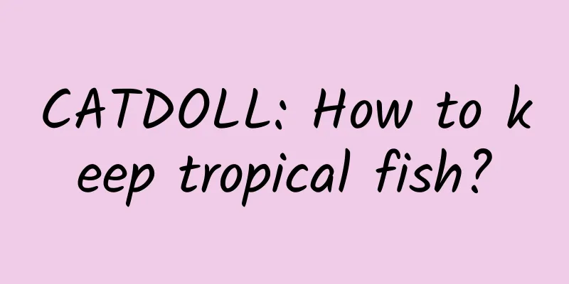 CATDOLL: How to keep tropical fish?