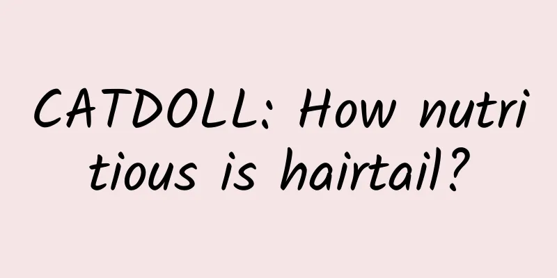 CATDOLL: How nutritious is hairtail?