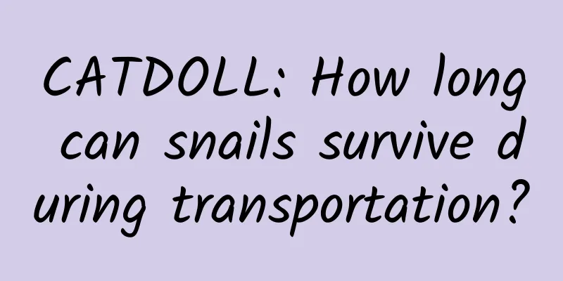 CATDOLL: How long can snails survive during transportation?