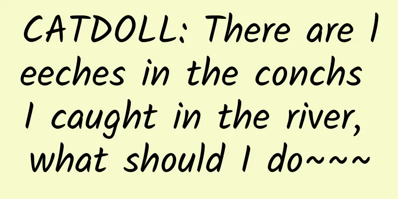 CATDOLL: There are leeches in the conchs I caught in the river, what should I do~~~