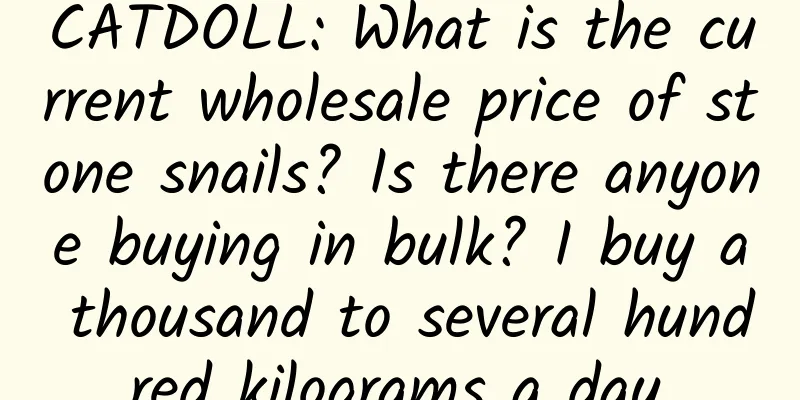 CATDOLL: What is the current wholesale price of stone snails? Is there anyone buying in bulk? I buy a thousand to several hundred kilograms a day.