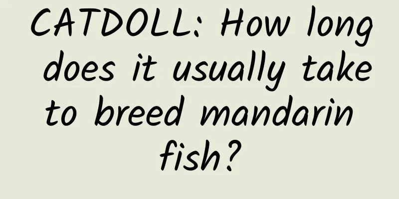 CATDOLL: How long does it usually take to breed mandarin fish?