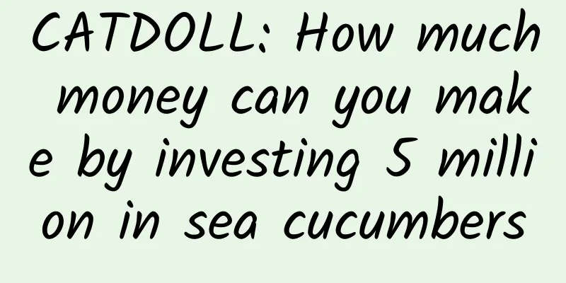 CATDOLL: How much money can you make by investing 5 million in sea cucumbers