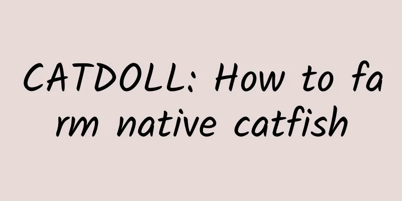 CATDOLL: How to farm native catfish