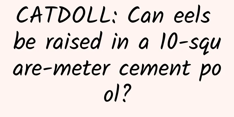 CATDOLL: Can eels be raised in a 10-square-meter cement pool?