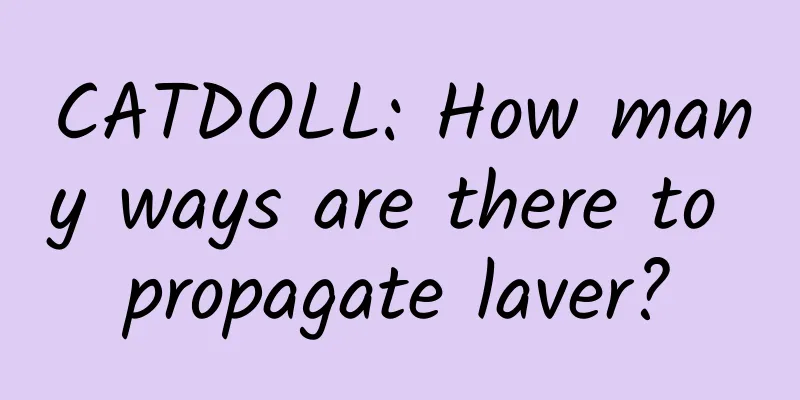 CATDOLL: How many ways are there to propagate laver?