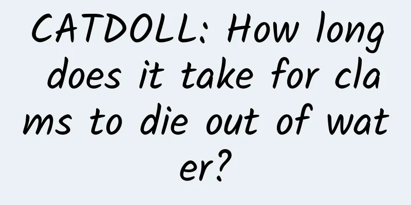 CATDOLL: How long does it take for clams to die out of water?