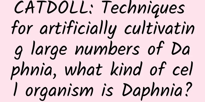 CATDOLL: Techniques for artificially cultivating large numbers of Daphnia, what kind of cell organism is Daphnia?