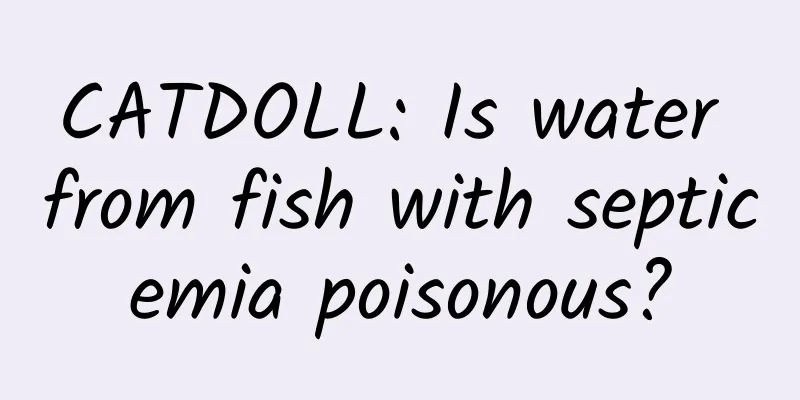 CATDOLL: Is water from fish with septicemia poisonous?
