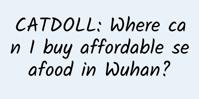 CATDOLL: Where can I buy affordable seafood in Wuhan?