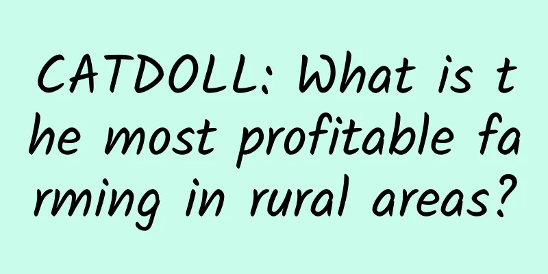 CATDOLL: What is the most profitable farming in rural areas?