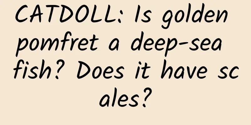 CATDOLL: Is golden pomfret a deep-sea fish? Does it have scales?