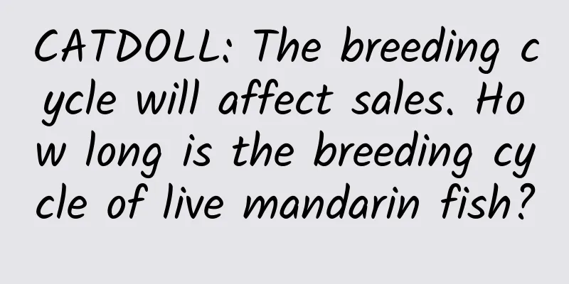 CATDOLL: The breeding cycle will affect sales. How long is the breeding cycle of live mandarin fish?