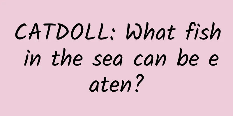 CATDOLL: What fish in the sea can be eaten?