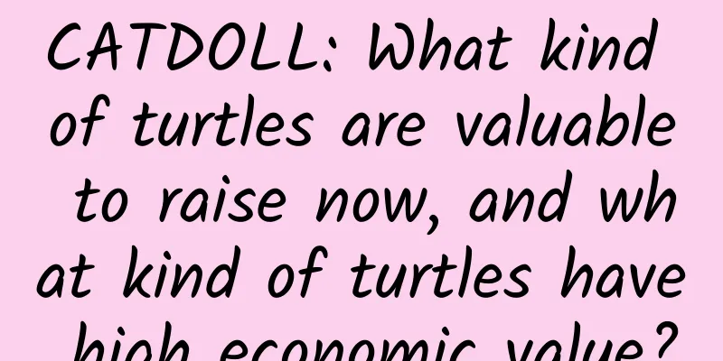CATDOLL: What kind of turtles are valuable to raise now, and what kind of turtles have high economic value?
