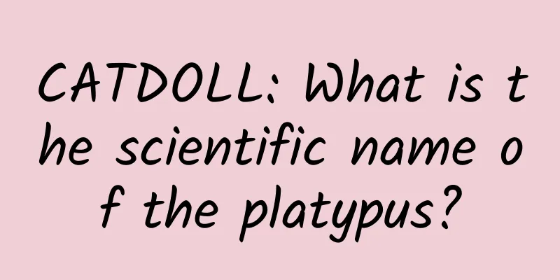 CATDOLL: What is the scientific name of the platypus?