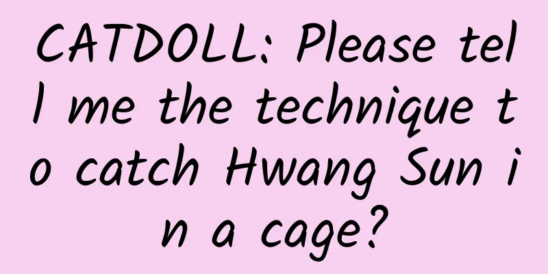 CATDOLL: Please tell me the technique to catch Hwang Sun in a cage?