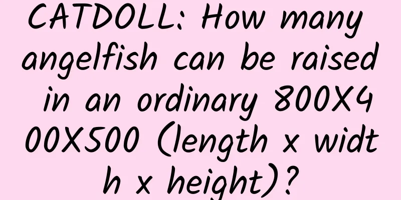 CATDOLL: How many angelfish can be raised in an ordinary 800X400X500 (length x width x height)?