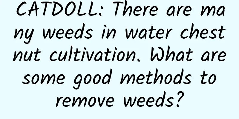 CATDOLL: There are many weeds in water chestnut cultivation. What are some good methods to remove weeds?