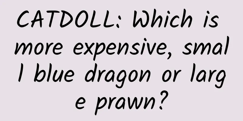 CATDOLL: Which is more expensive, small blue dragon or large prawn?