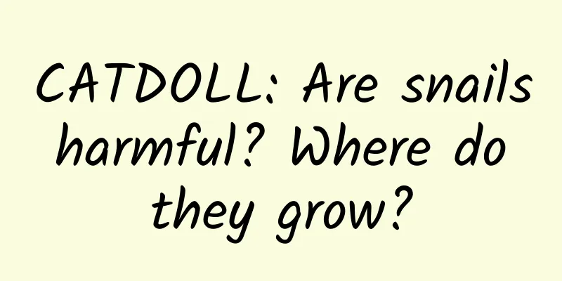 CATDOLL: Are snails harmful? Where do they grow?