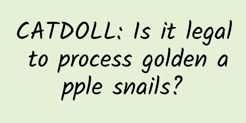 CATDOLL: Is it legal to process golden apple snails?