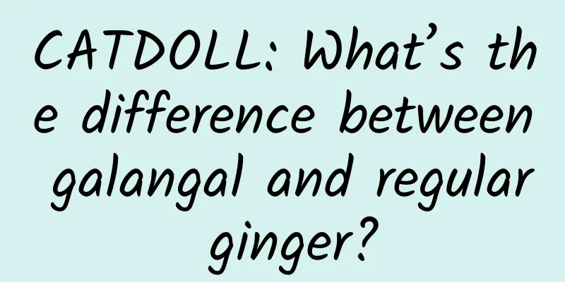 CATDOLL: What’s the difference between galangal and regular ginger?