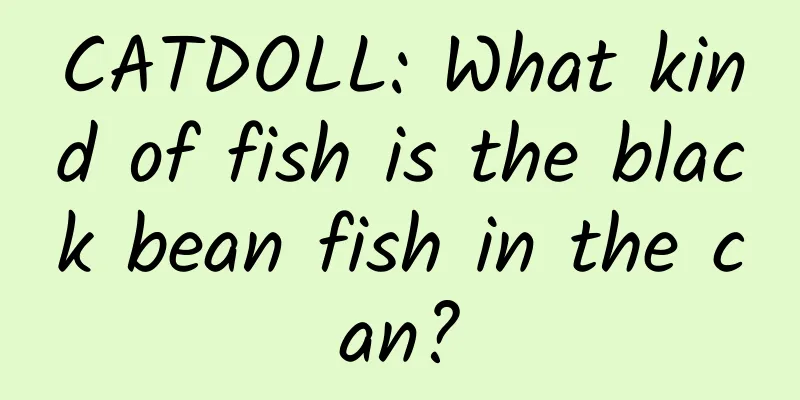 CATDOLL: What kind of fish is the black bean fish in the can?