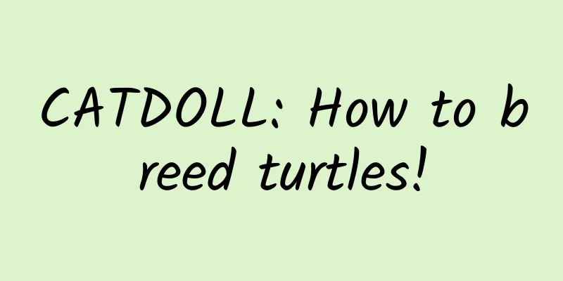 CATDOLL: How to breed turtles!