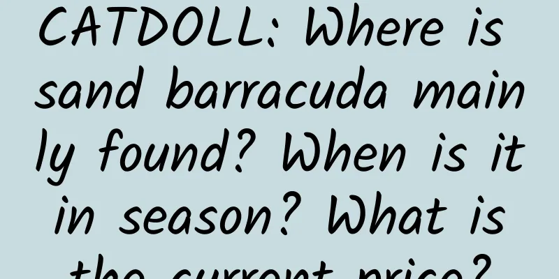 CATDOLL: Where is sand barracuda mainly found? When is it in season? What is the current price?