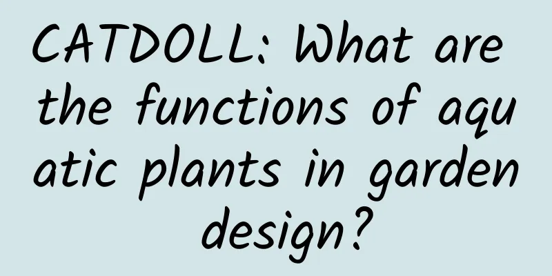 CATDOLL: What are the functions of aquatic plants in garden design?