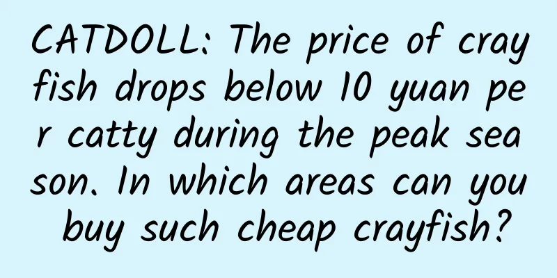 CATDOLL: The price of crayfish drops below 10 yuan per catty during the peak season. In which areas can you buy such cheap crayfish?