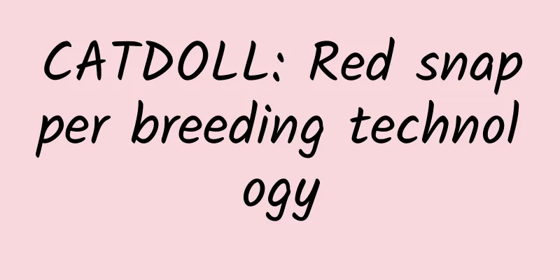 CATDOLL: Red snapper breeding technology
