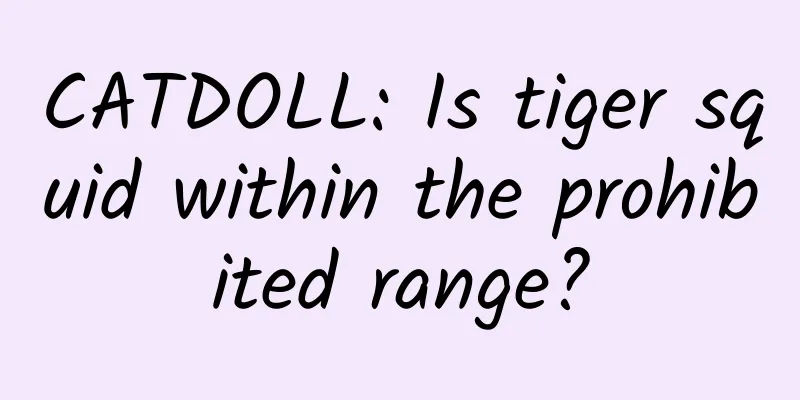 CATDOLL: Is tiger squid within the prohibited range?